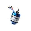E-Flite BL10 Motor, 800Kv -E-Flite-shop EFLM17552 A0 U6O2LVW5