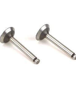 Saito Engines Valve In/Out (Pr):MM,TT