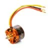 Spektrum Avian 2830-950Kv Outrunner Brushless Motor -E-Flite-shop SPMXAM4560 A1 KXO1NBWY