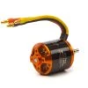 Spektrum Avian EF1 3545-1250Kv Brushless Outrunner Motor -E-Flite-shop SPMXAM4630 A0 IRWP5SMQ