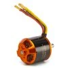 Spektrum Avian 5065-450Kv Outrunner Brushless Motor -E-Flite-shop SPMXAM4770 A1 KT5Z2P1B